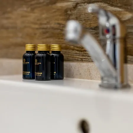 Old Town Apartman Poznań