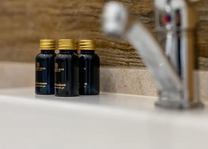 Old Town Apartment Poznan